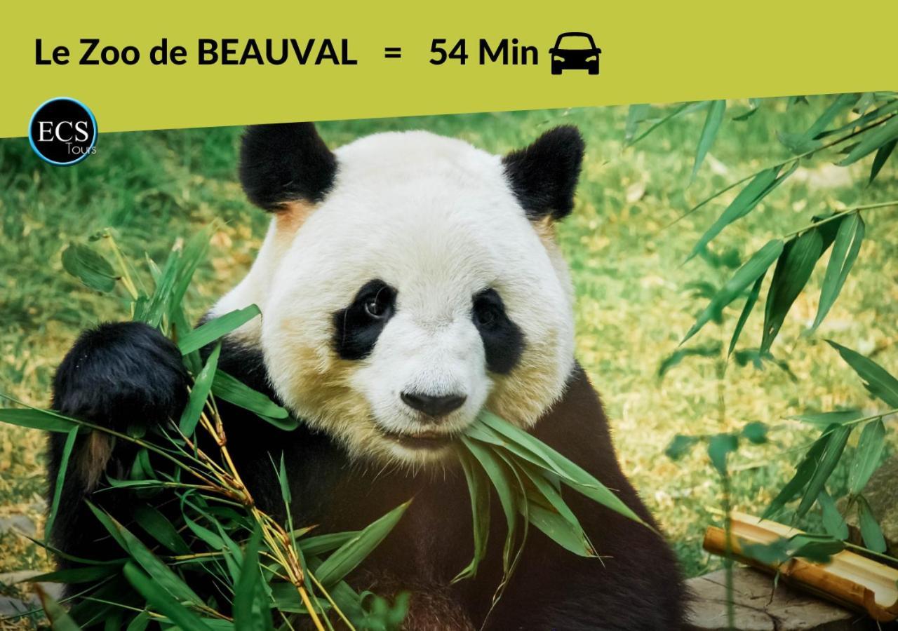 Апартаменты "Le Safari" - 2 Lits - Au Coeur Du Vieux Тур Экстерьер фото